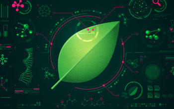 CRISPR Casade regulstes gene activation