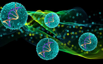 CRISPRs therapies succesfully cure cervical cancer
