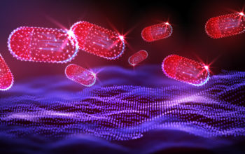 Bacterial chassis for seawater biofuel