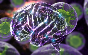 nanoparticle t treat infected HIV macrophages in the brain