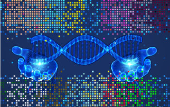 CARMEN CRISPR diagnostic tool