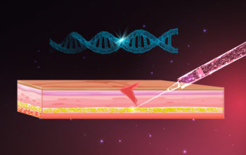 CRISPR hypersecreting cells for diabetics