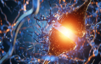 nerve cell mutliple sclerosis