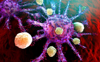 CAR T cell and oncolytic virus therapy