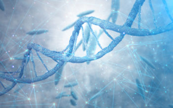 pancreatic cancer diagnosis