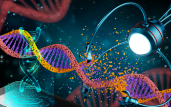 SNP-Chip detects point mutations