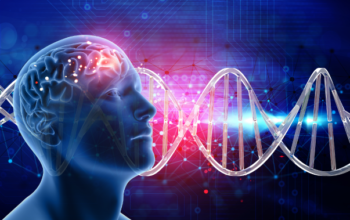 cell therapy to treat strokes and dementia