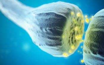 new strategy to remove toxic tau in Alzheimer's
