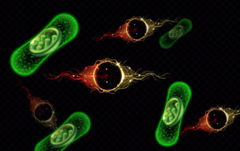 nano-photosynthesis system to treat strokes