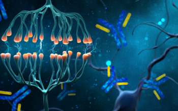 antibody therapy for congenital disease
