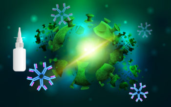 Nasal hybrid antibodies protect against COVID-19