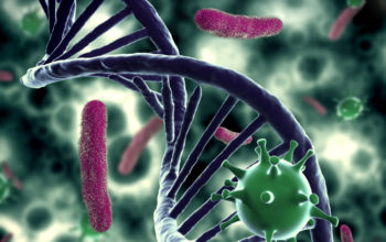 synthetic bacteria are resistant to viral infections