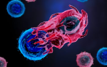 chemical shield for immunotherapy