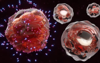 new target for treating breast cancer