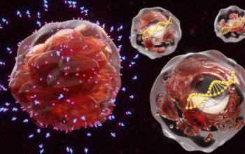 CRISPR platform for T cell regulation