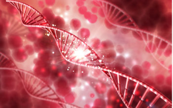 gene replacement therapy for thalassemia
