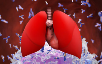 creating universal organs for transplant