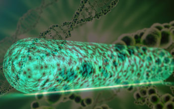 molecular stealth cloak for therapeutic bacteria
