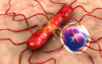 Listeria delivers tetanus to cold tumours