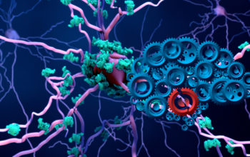 new target to treat Alzheimer's disease